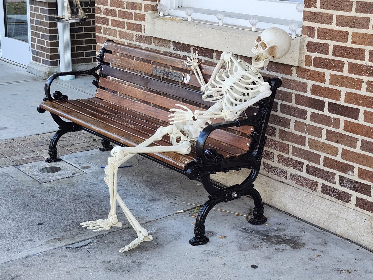 RhondaHendee's tweet image. Momma &amp;amp; are on mobile pawtrol downtown #Dunedin again #pioneerpark fur #diadelosmuertosfiesta keeping everypawdy safe from 💀 @ZombieSquadHQ #ZSHQ