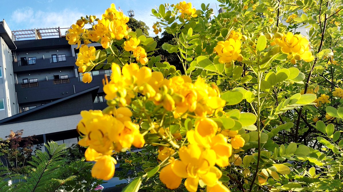 ponta61 (@ponta61104) / Posts / X