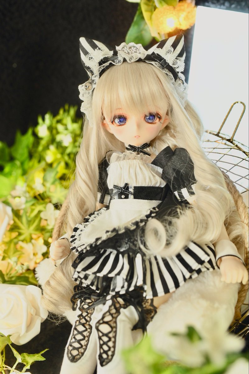 Imomodoll【公式】 (@ImomoDoll) / Posts / X