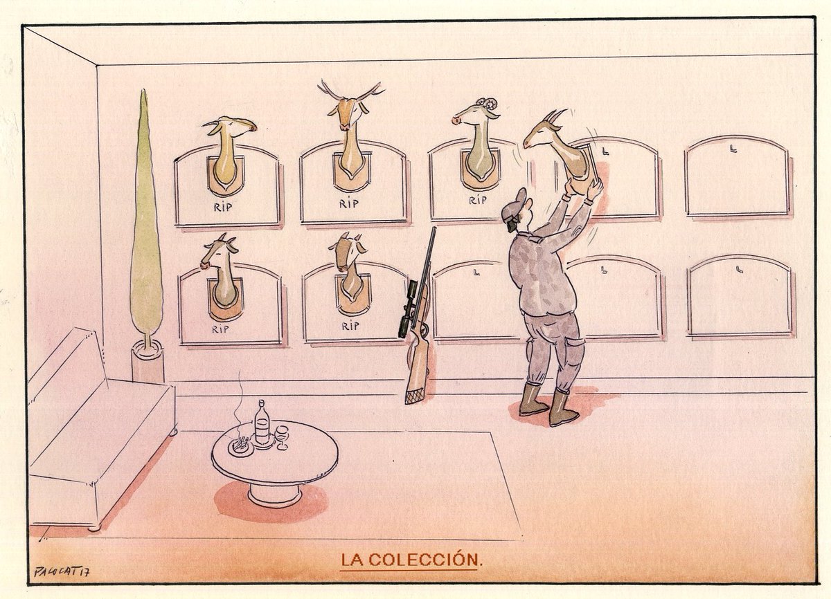 Mi viñeta.
La colección.