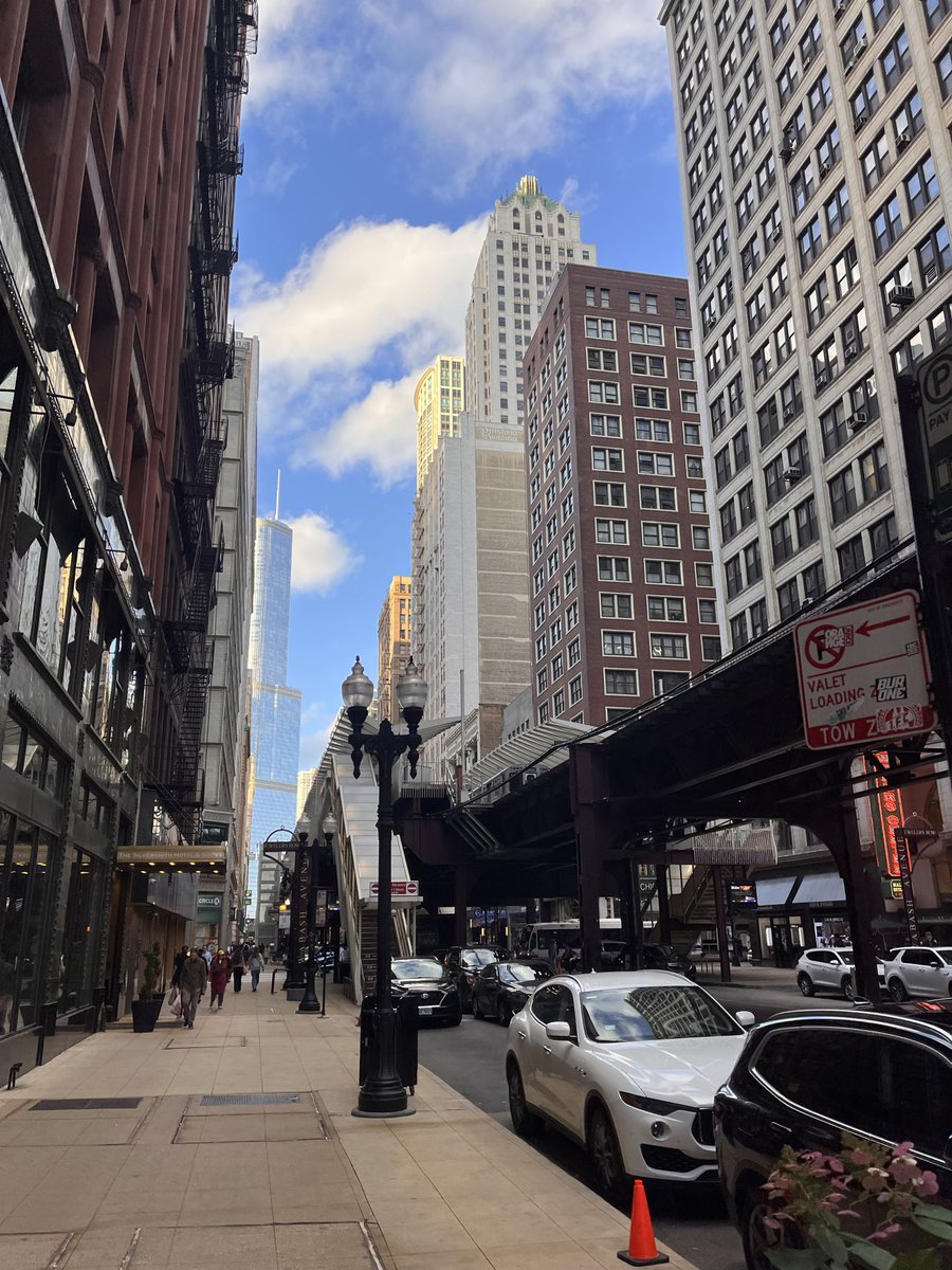 blagojevism's tweet image. A great inland city that is being trashed and terrorized by a New York pervert.