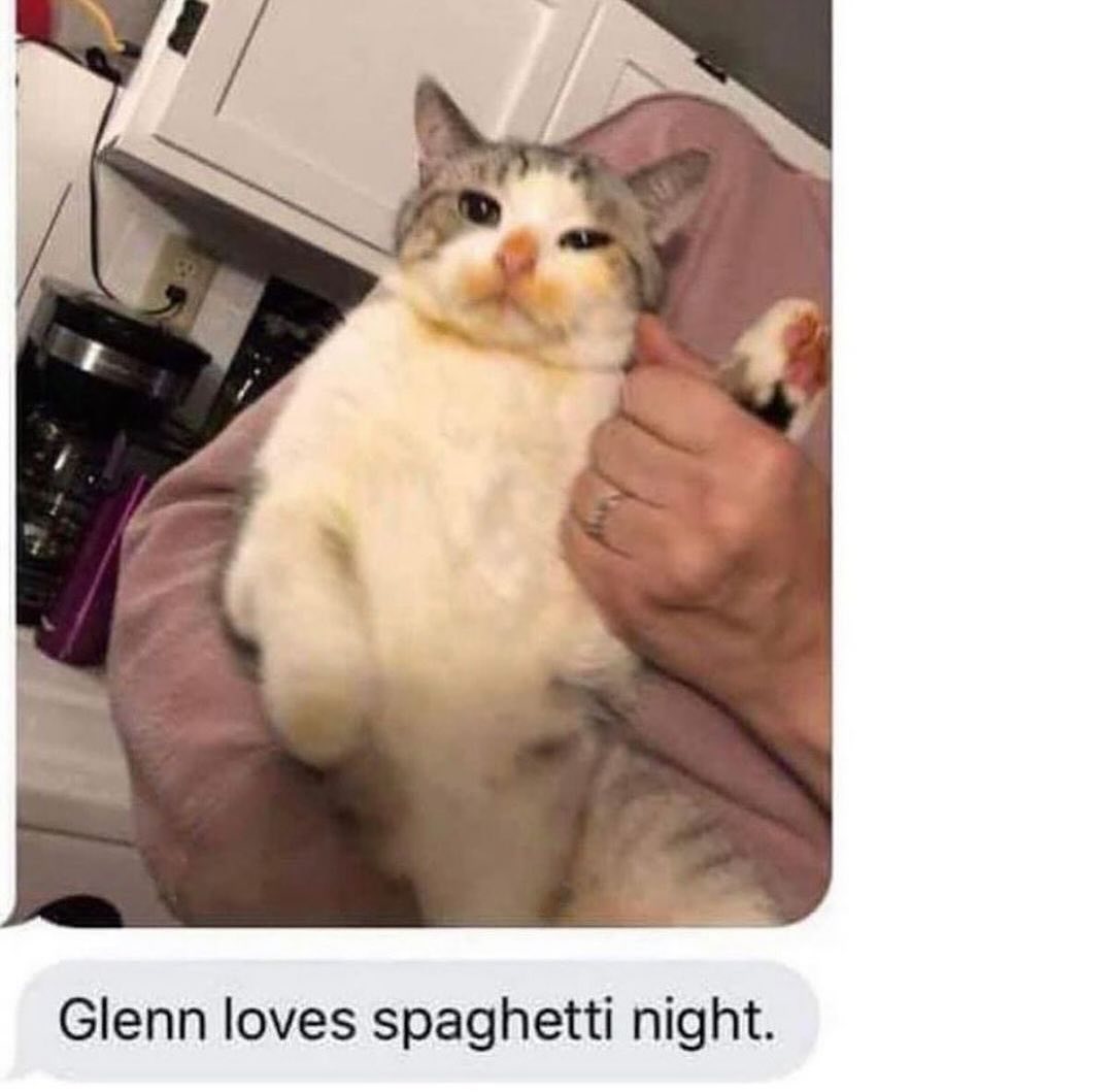 Punch Cat (@punchingcat) on Twitter photo 