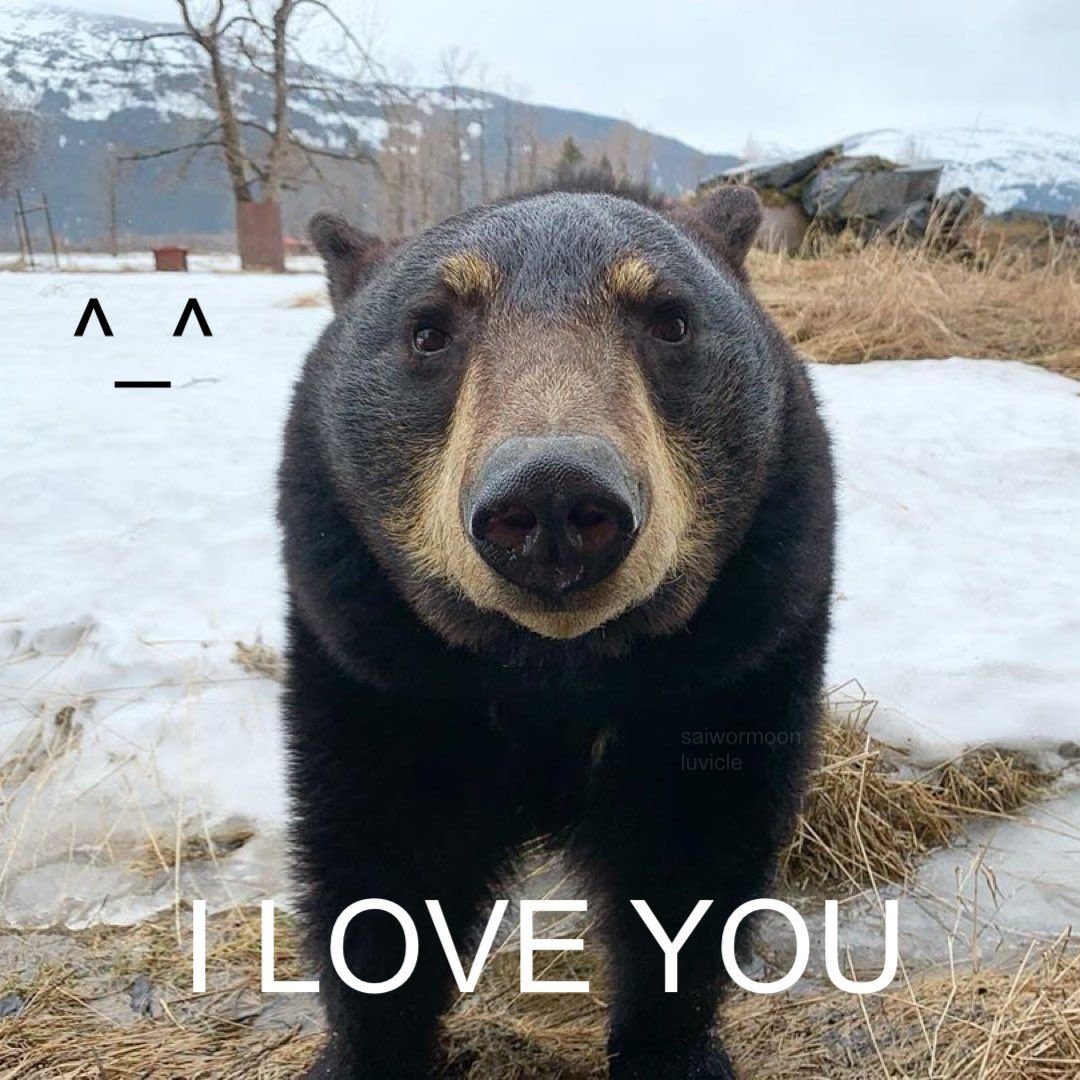 BearyDales tweet media