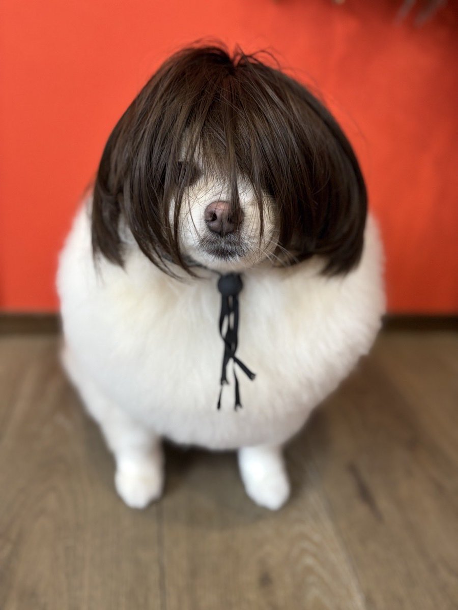 み ず ⸜( * ॑꒳ ॑*)⸝ (@aqua3254) / Posts / X