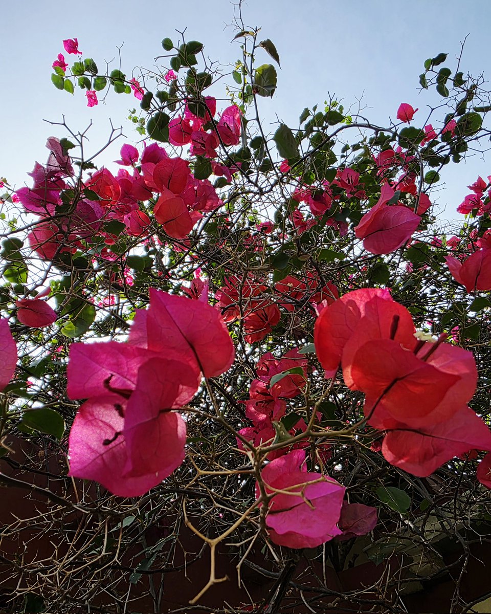 Saturday vibes. SoCal