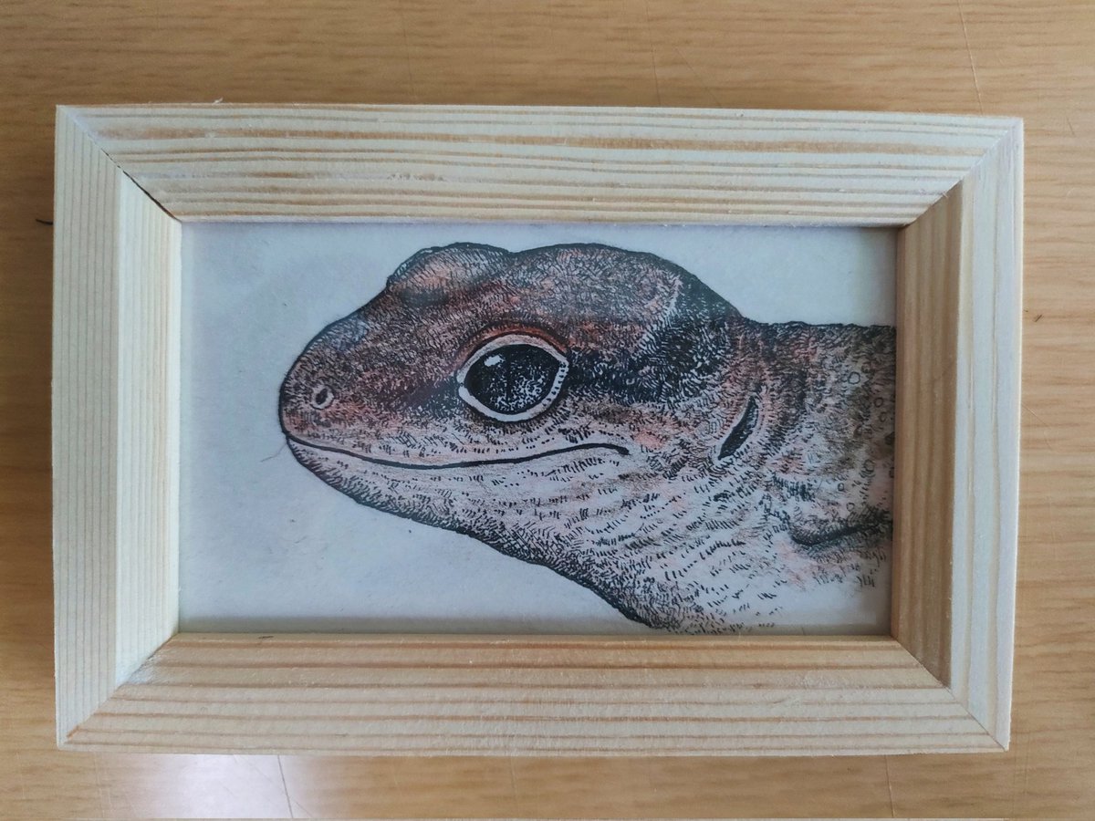 ひいらぎ−ペン画 (@helmmira330) / Posts / X