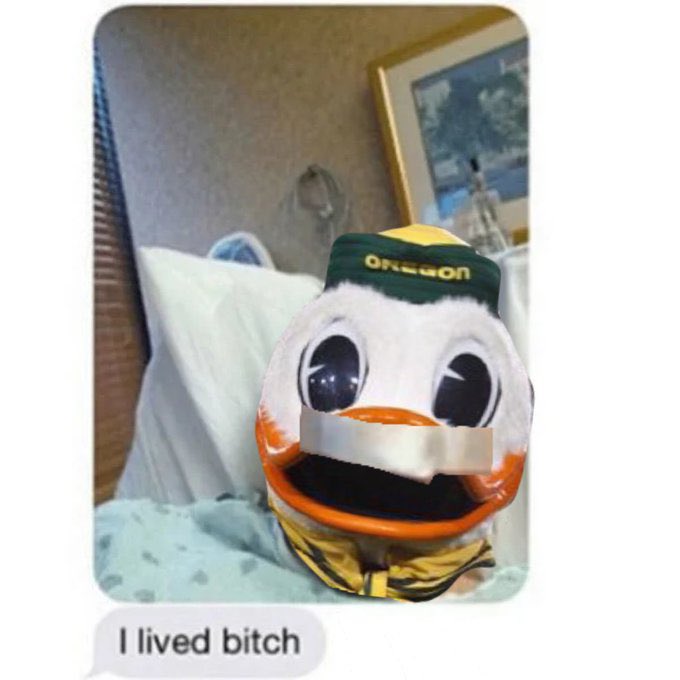 Another week of surviving Will Stein ball