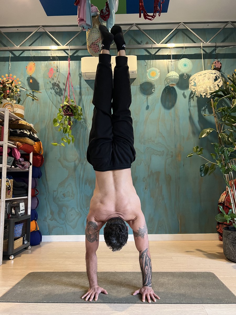 Rane Bowen tweet media