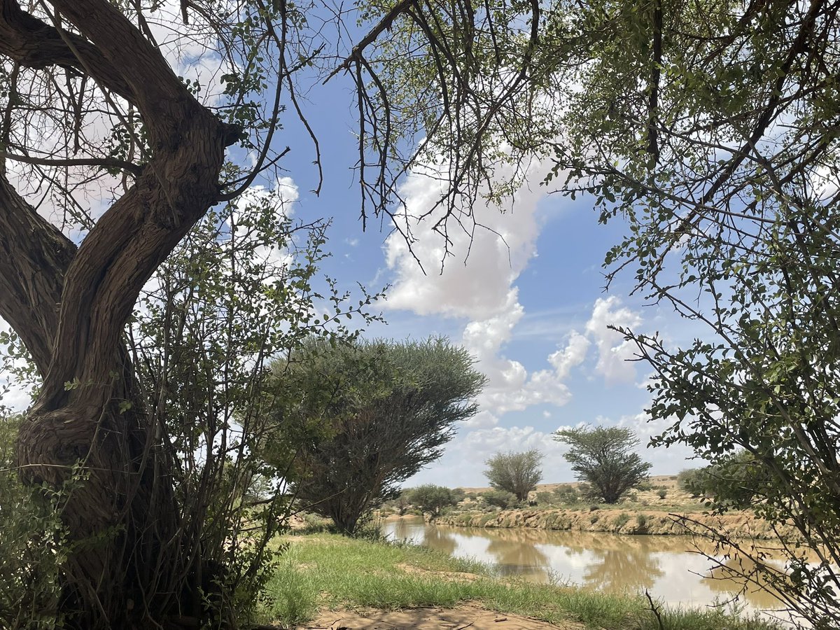 #صلاة_الاستسقاء