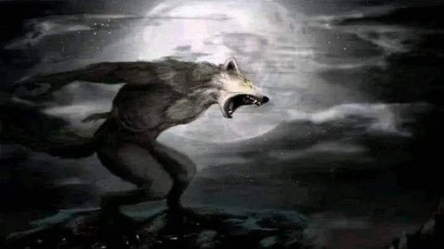 CÓMO QUE TAN BIONICA SACA ALBUM EL 4 DE NOVIEMBRE