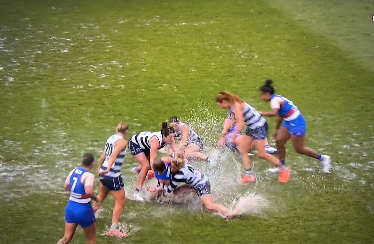 Some may say it’s been raining Cats and Dogs in the ‘Rat. 

I’ll see myself out. #AFLWDogsCats
