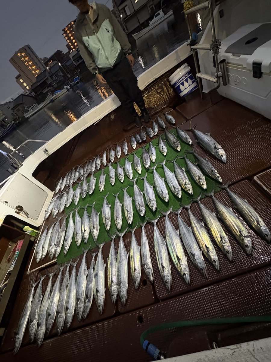 伊勢湾サワラキャスティング 

ブレードジグを底からジャカジャカ巻いてる時にグッとハンドルを止められる当たりが気持ちーです

下にいる魚をブレードジグで引っ張り出す疲れるけど楽しい釣りでした😀

#伊勢湾 #サワラキャスティング  #サワラ