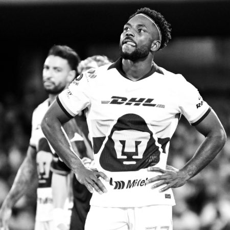 Fabrizio Domínguez Castilla (@fabriziodc_) on Twitter photo Un dato que daba el otro día en la transmisión contra San Luis (Ya actualizado):
Solo CUATRO de los 17 goles de #Pumas han sido marcados por jugadores extranjeros.
Apenas el 23% de goles son de NFM. Números muy pobres, tomando en cuenta que es un equipo con 8 NFM. Un dato que daba el otro día en la transmisión contra San Luis (Ya actualizado):
Solo CUATRO de los 17 goles de #Pumas han sido marcados por jugadores extranjeros.
Apenas el 23% de goles son de NFM. Números muy pobres, tomando en cuenta que es un equipo con 8 NFM.