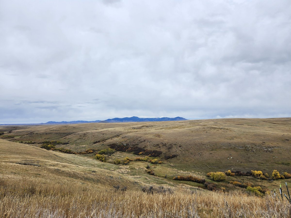 A beautiful sunrise and the little belt mountains, ya gotta love the big sky country