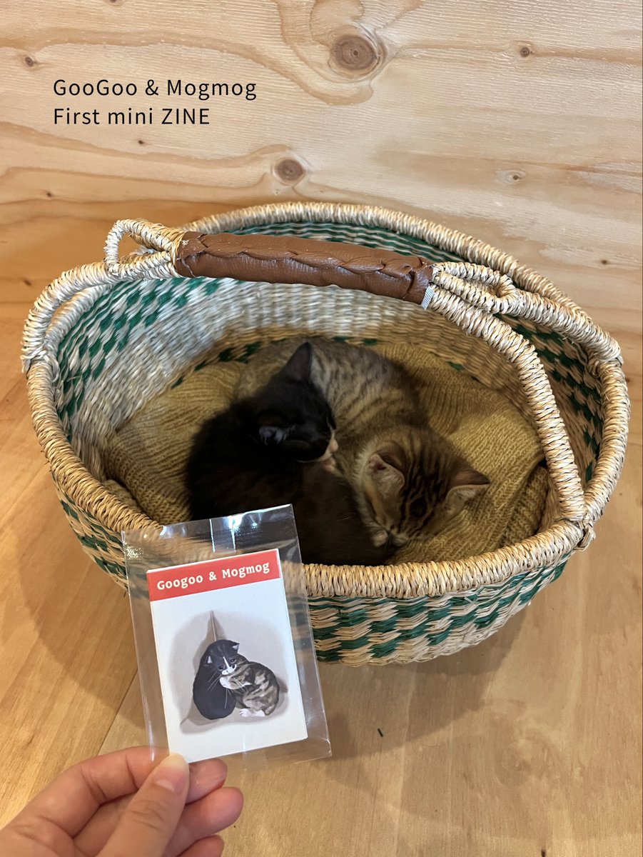 【美品】ファインアートミニチュアズ　手紙をポストに投函する少女と犬 美品】ファインアートミニチュアズ 手紙をポストに投函する少女