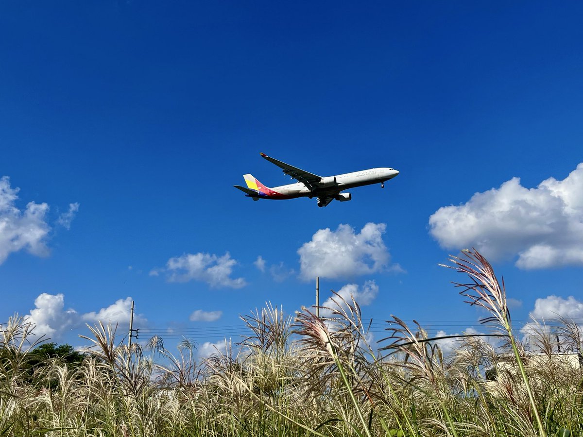 푸른 하늘과 살랑살랑 바람 가득한 제주도로 오세요 제주도.