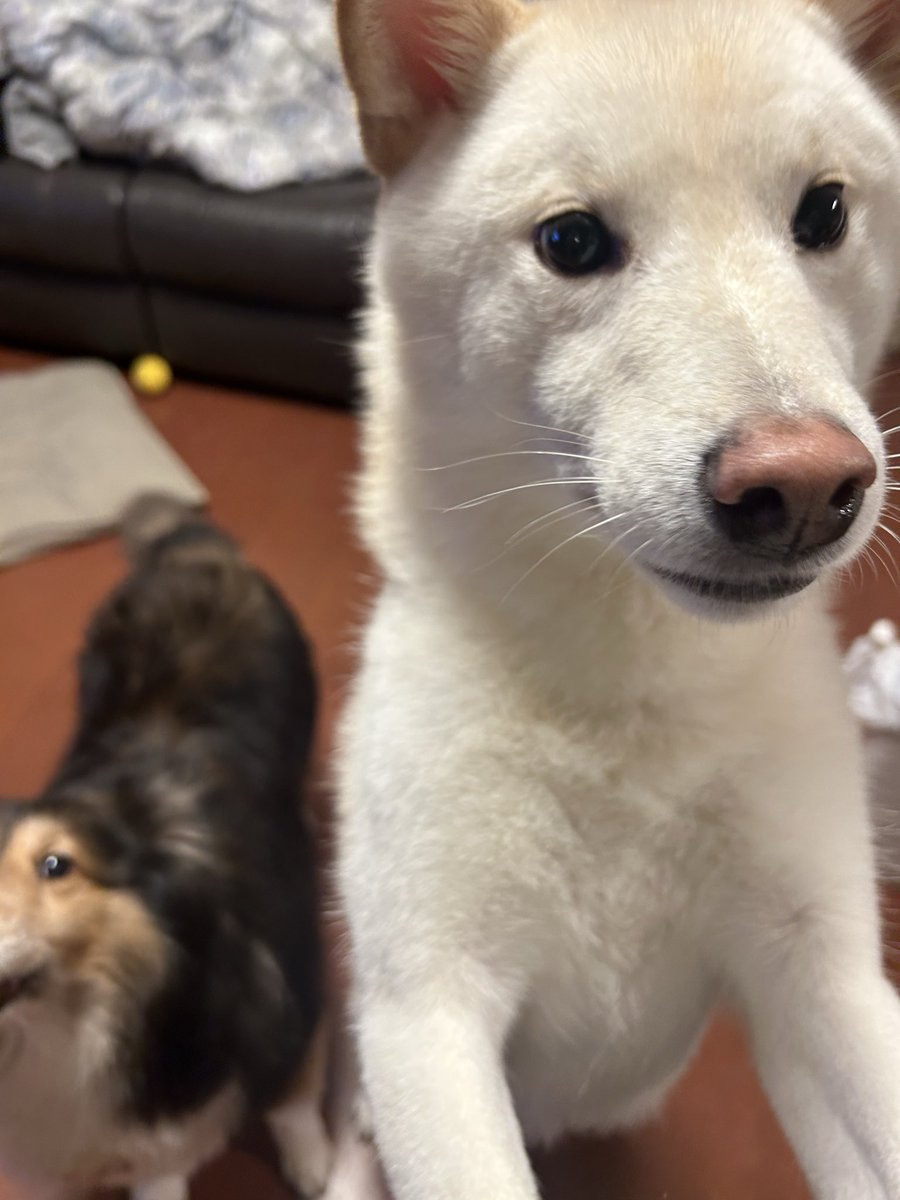 なんでバズらないんですか