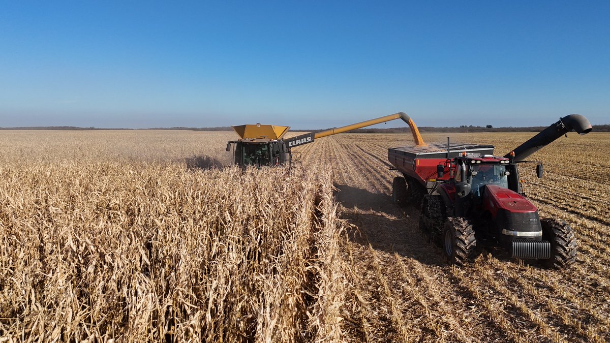 Andrew Farms tweet media