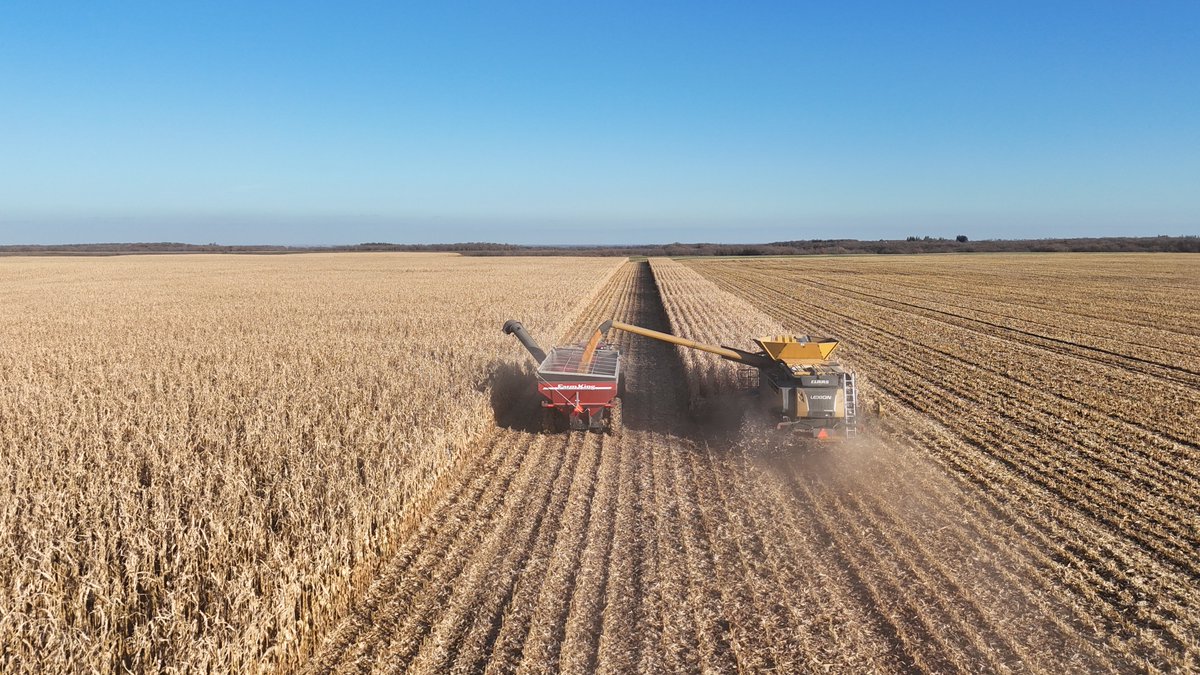 Andrew Farms tweet media