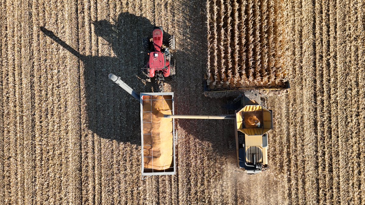 Andrew Farms tweet media