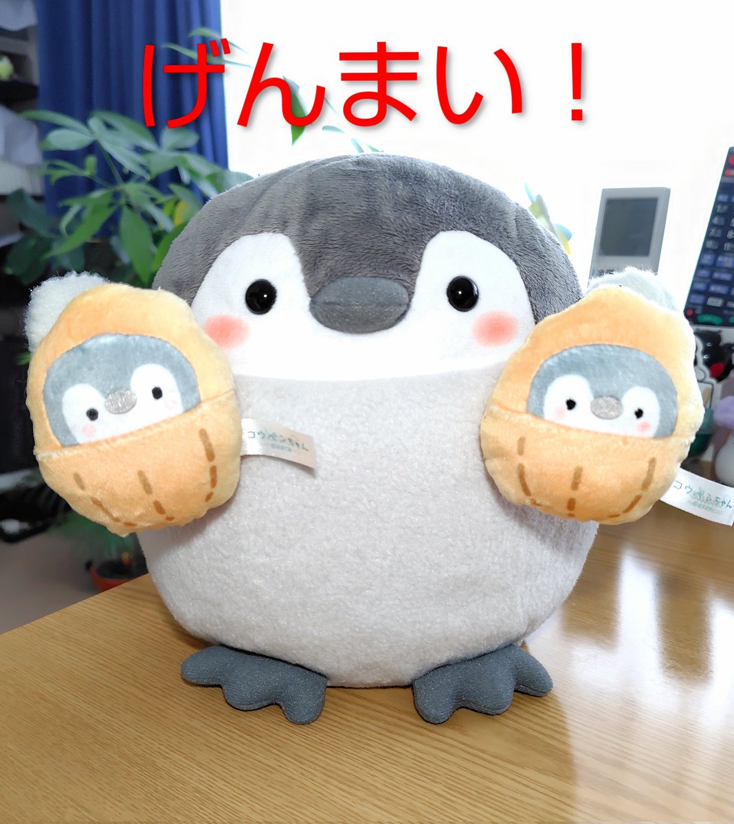 WxAxcs's tweet image. げんまい！(どんまい！)
かーなーしーすーぎーるー😭
#コウペンちゃん