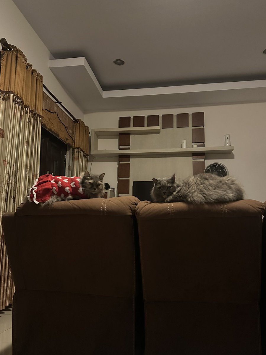 pentolkuriya's tweet image. Merly mukanya galak, adek mukanya bloon