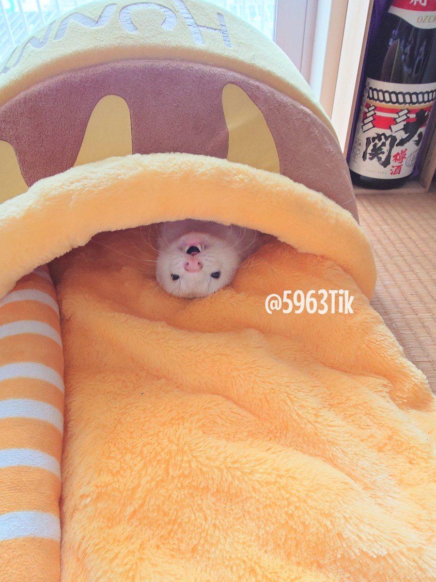 m-maki‪‪☺︎‬ ✄----- ﾁ ｶ ﾂ ﾗ -----✄ on X