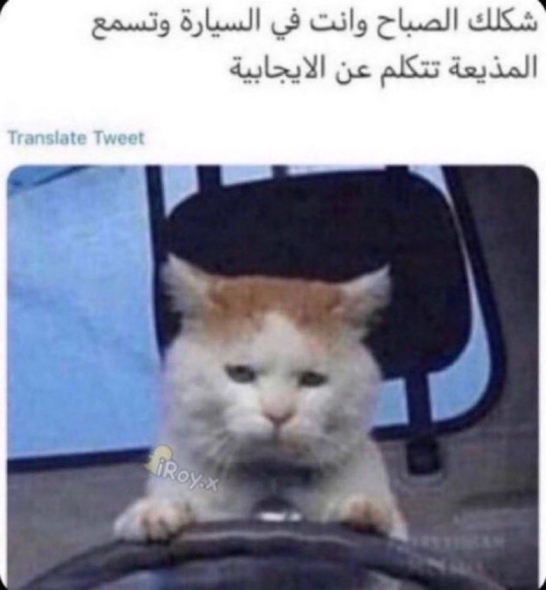 صباح الاحد