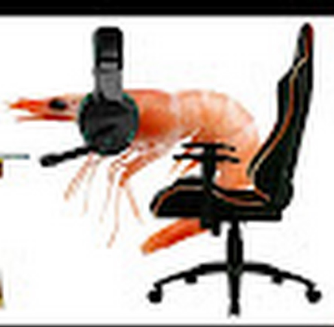 ArleMzVT tweet media