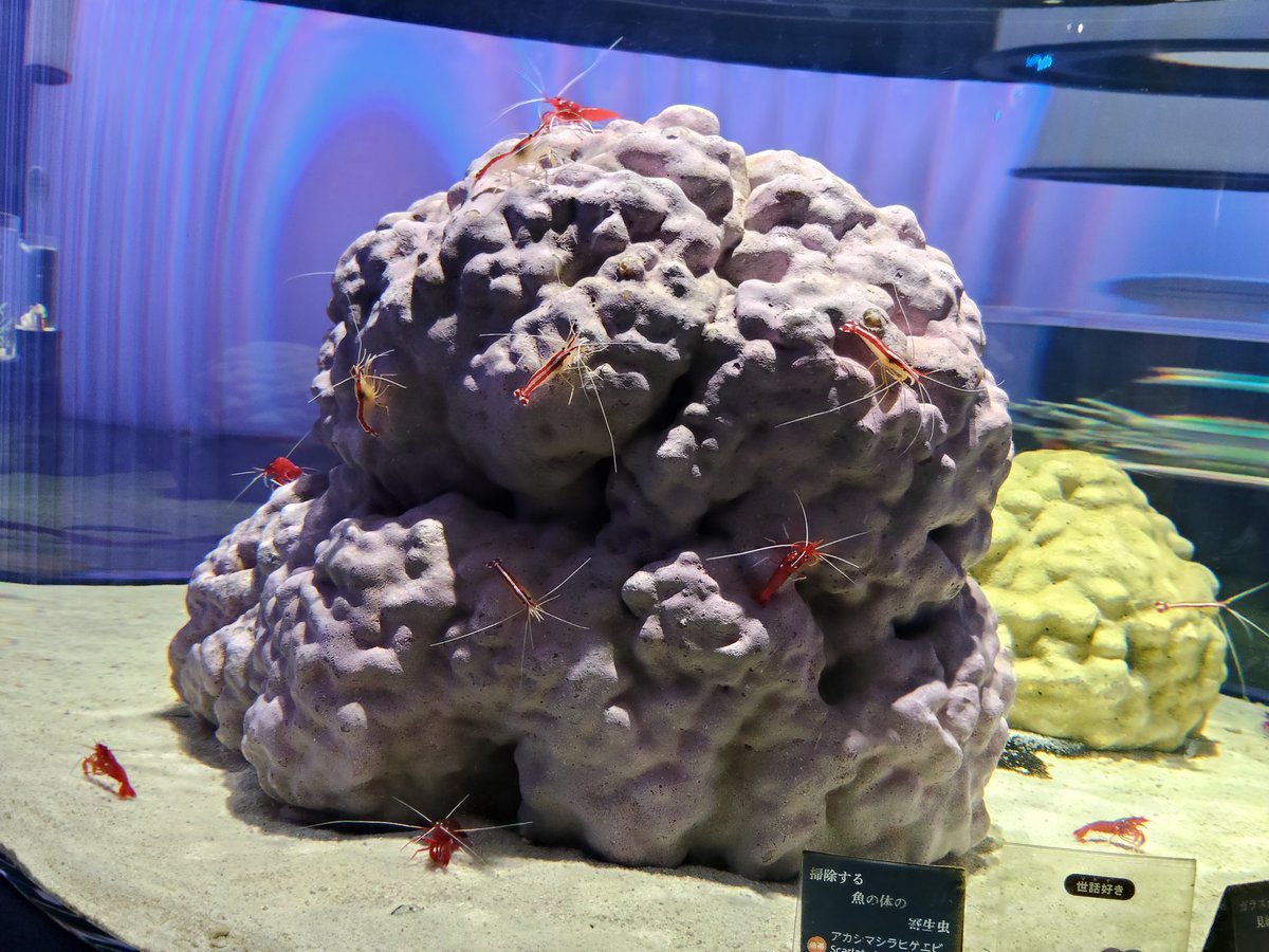 💫ニコニコ☆📻💕 on X