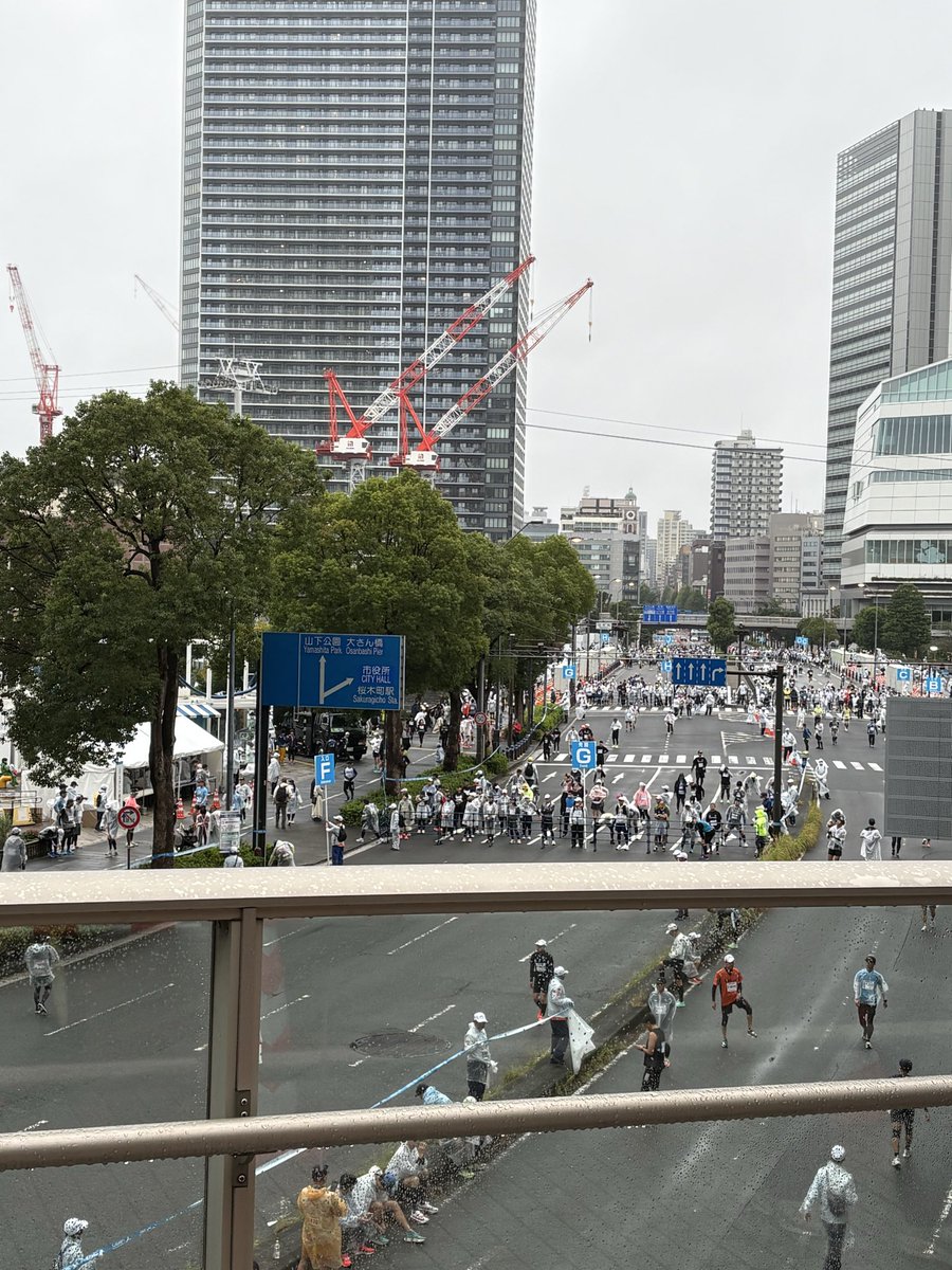 igusuke's tweet image. 横浜マラソンの皆様、頑張って💪