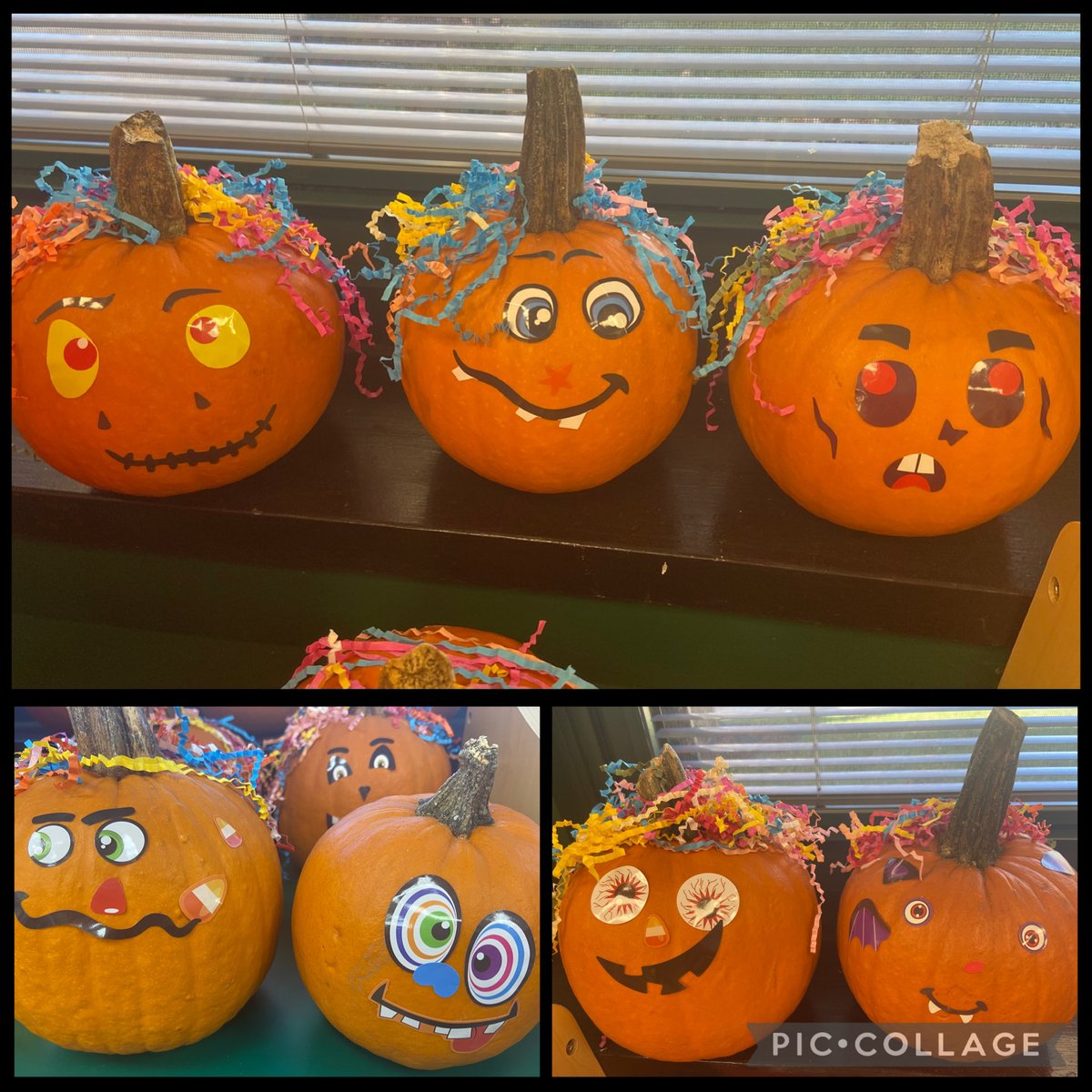 msjjcoleman's tweet image. We loved decorating our pumpkin patch pumpkins!🎃🎃🎃
@SycamoreECLC 
@SDSPTO 
@KaczalaLori