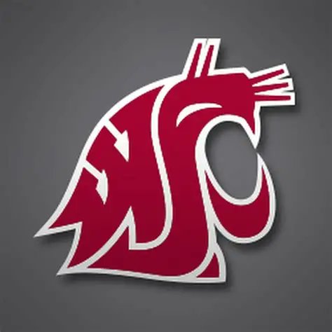 KCEriksen's tweet photo. TOUCHDOWN  #GoCougs #WAZZU https://t.co/0MdhZ0cibd