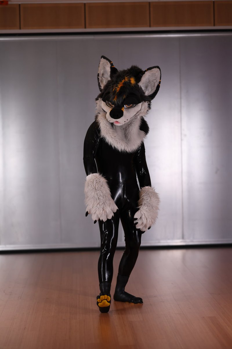 Fluff 🐺 🆚 ✨Shiny✨