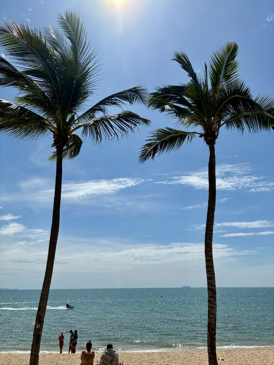 20251026  おはようございます

今日は菊花賞🌼

3歳青春世代最後の一冠🏇

皐月賞　最も早い馬が勝つ
ダービー　最も運のいい馬が勝つ
菊花賞　最も強い馬が勝つ

どの馬にとっても未知の
京都競馬場3,000m

ひと夏を越した頼もしい優駿達の姿を
楽しみにしています

全頭の健闘と完走を願っています