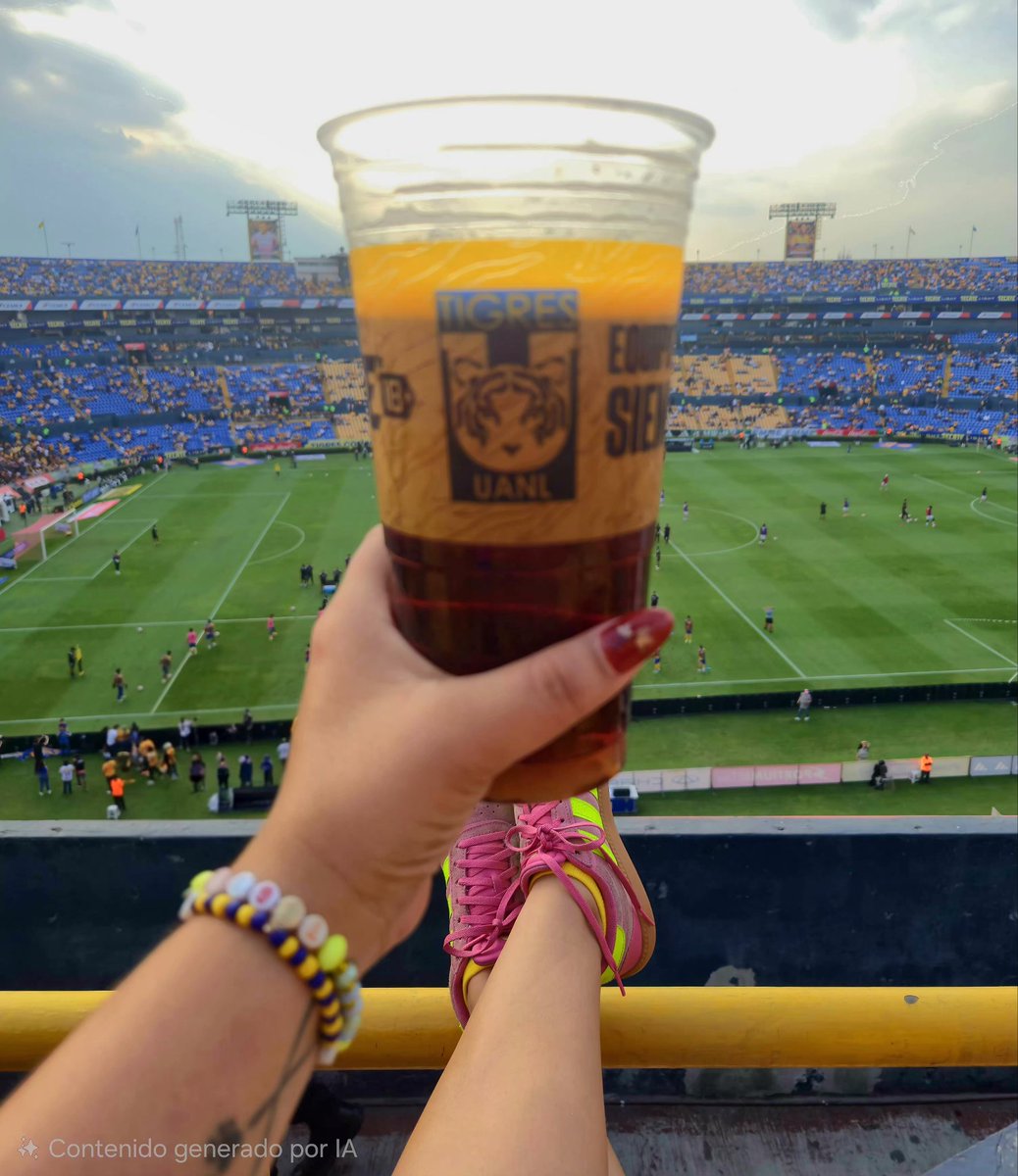 Vamos los Tigres 🐯