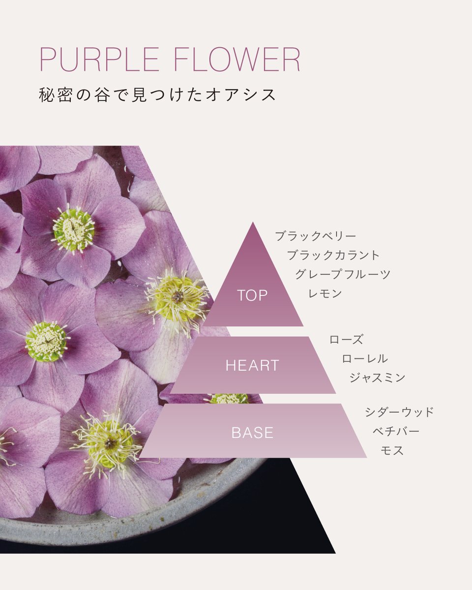 ジョンマスターオーガニック on X