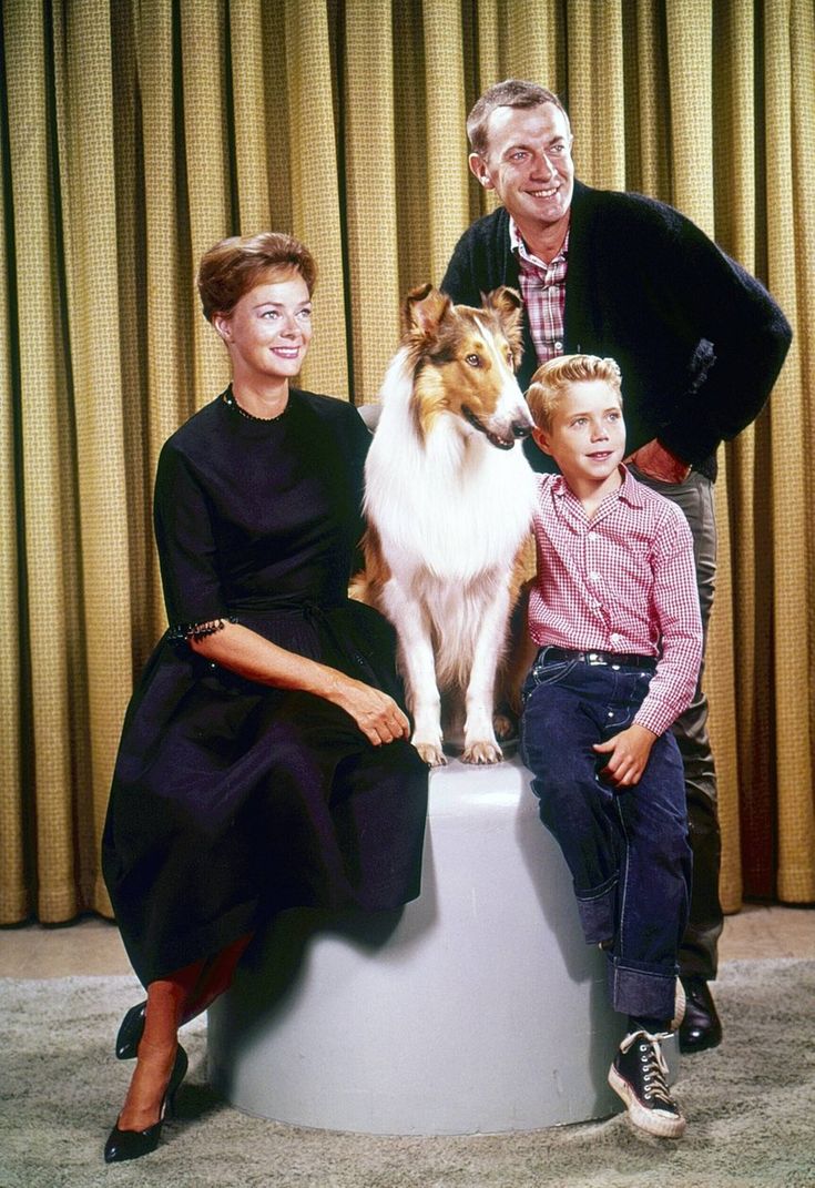 _kinem_aliel's tweet photo. ⚠️
June Lockhart, atriz de 'Lassie' e 'Perdidos no espaço', morre aos 100 anos. Vencedora de um Tony e indicada duas vezes ao Emmy, americana morreu de causas naturais.
#RipJune 🙏 https://t.co/vP6eH74GSQ