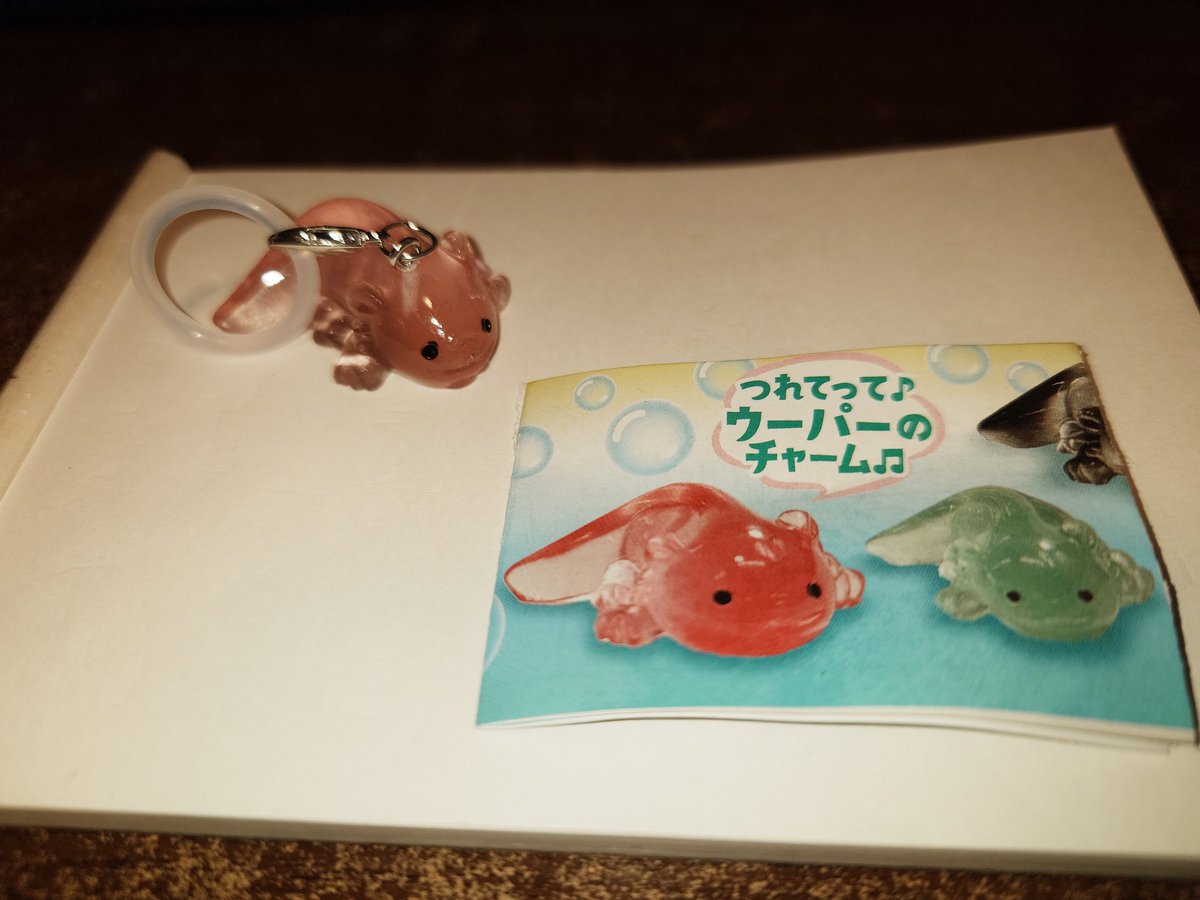 ペロタン (@777perotan) / Posts / X