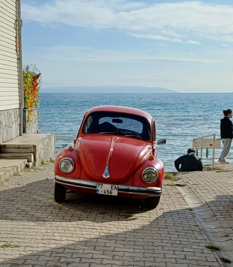 Değirmenaltı/Tekirdağ 2025