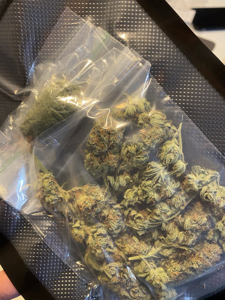 o terror do sensodyne tá online.

DE TRINCA OS DENTE