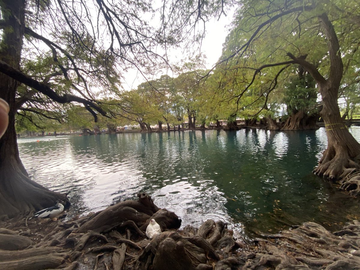 Caminos de Michoacán 
🤩✨👌