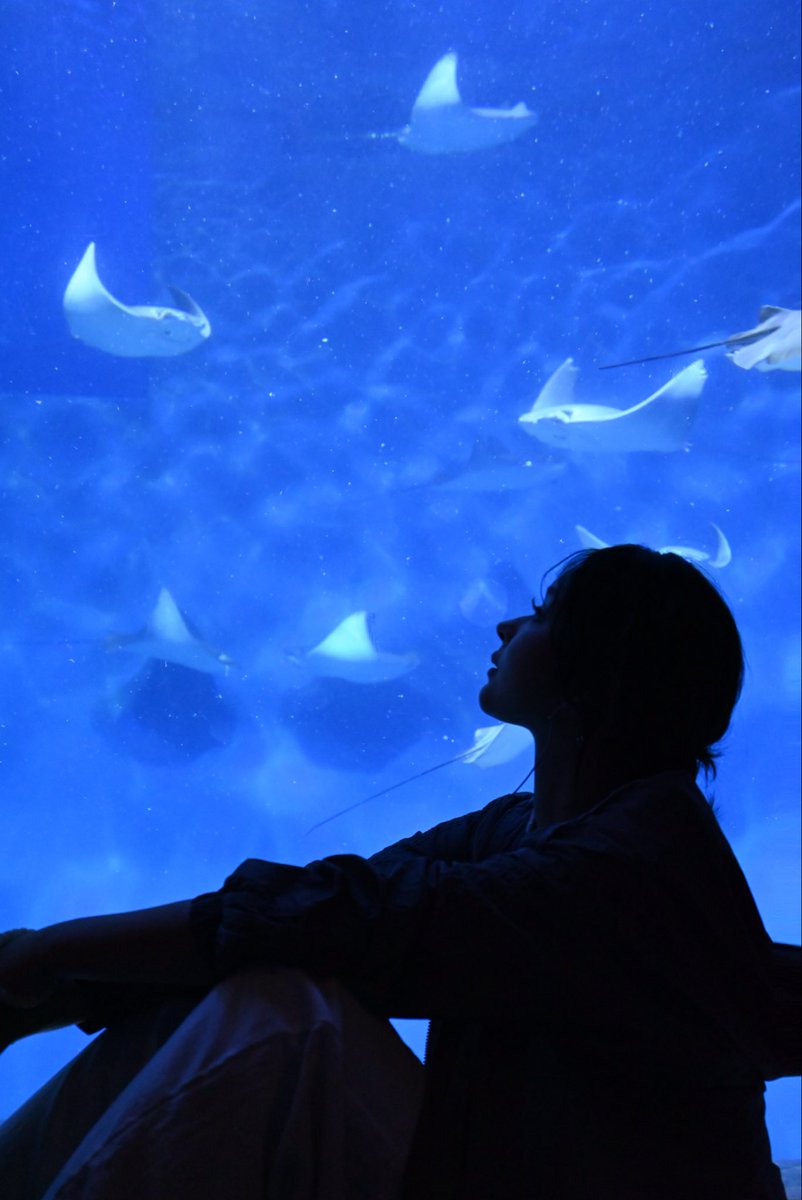 我还是难免哽咽，但此后山高又路远