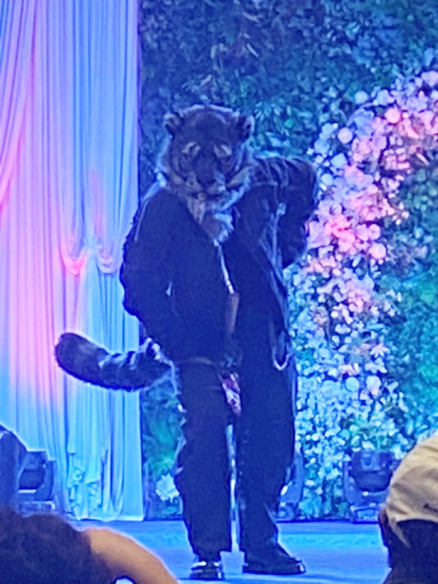 #퍼레이드2025
퀄리티부터가 남다른 흑호랑이 모프님🐅🐅
눈 앞에서 보자마자 무서움에 움추려지는...
하지만 이렇게 잘생긴걸 어케 놓쳐!!😍😍