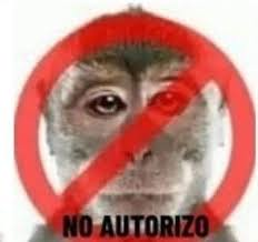 JoaquinJ09's tweet photo. @GabyMeza8 https://t.co/aeIuExw9n5
