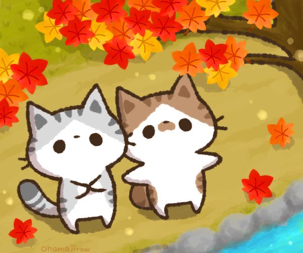 ちゃとらん (@3catshome) / Posts / X