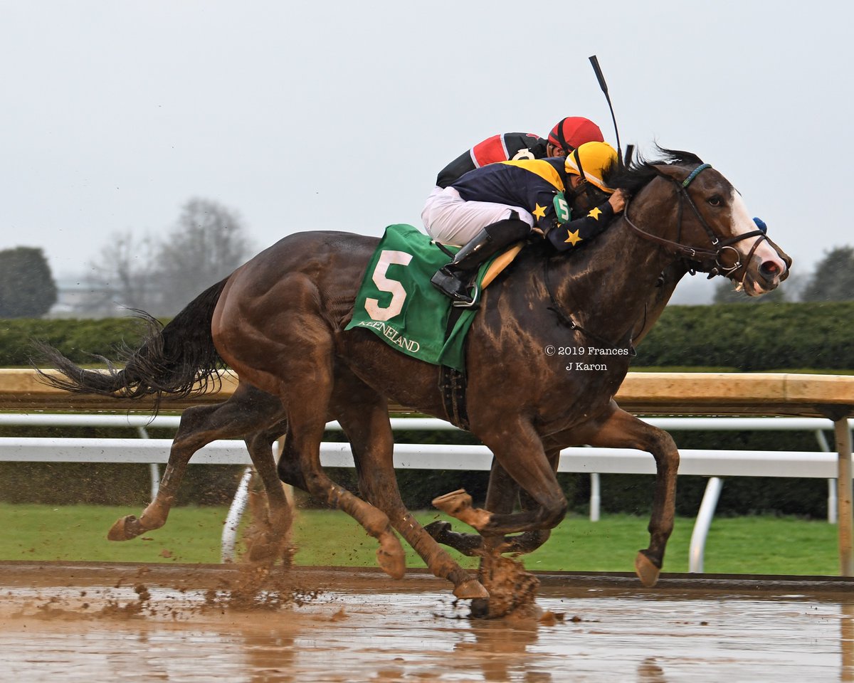 francesjkaron's tweet image. Fancy Dress Party ➡️Gallivant

Fancy Dress Party won a maiden (7 yrs ago tomorrow) and the G3 Beaumont (📷) at Keeneland for @LNJFoxwoods &amp;amp; @colebrookracing.

Her 2yo son Gallivant (Into Mischief) broke his maiden in the Bowman Mill S. at Keeneland today for the same connections.