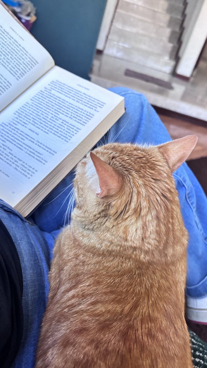 A Simón le gustan las historias de dragones 🐉😜