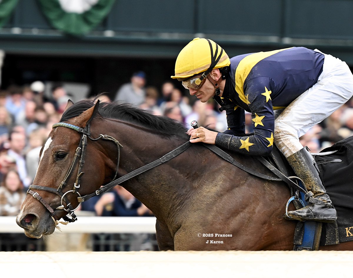 francesjkaron's tweet image. Fancy Dress Party ➡️Gallivant

Fancy Dress Party won a maiden (7 yrs ago tomorrow) and the G3 Beaumont (📷) at Keeneland for @LNJFoxwoods &amp;amp; @colebrookracing.

Her 2yo son Gallivant (Into Mischief) broke his maiden in the Bowman Mill S. at Keeneland today for the same connections.