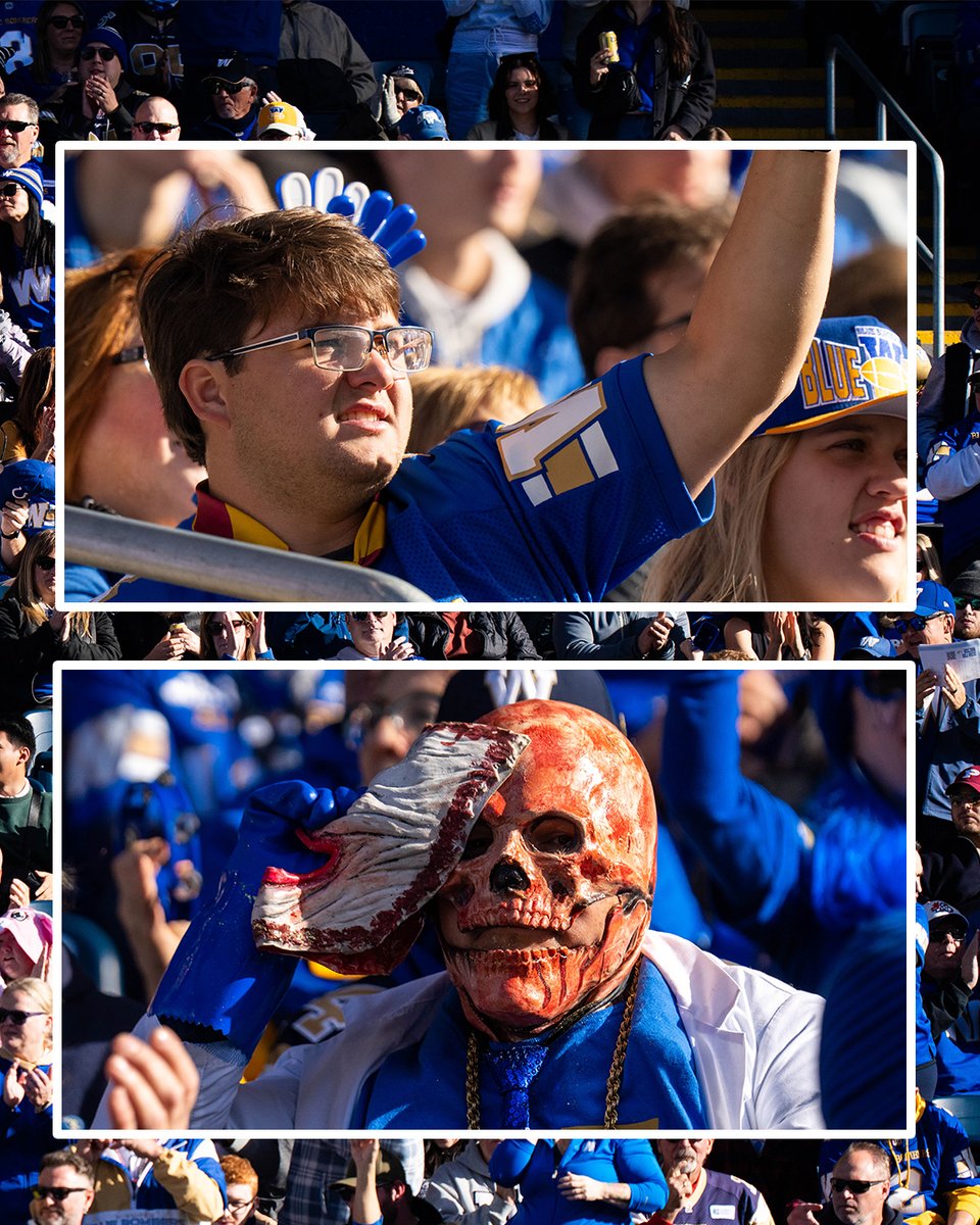 Winnipeg Blue Bombers tweet media